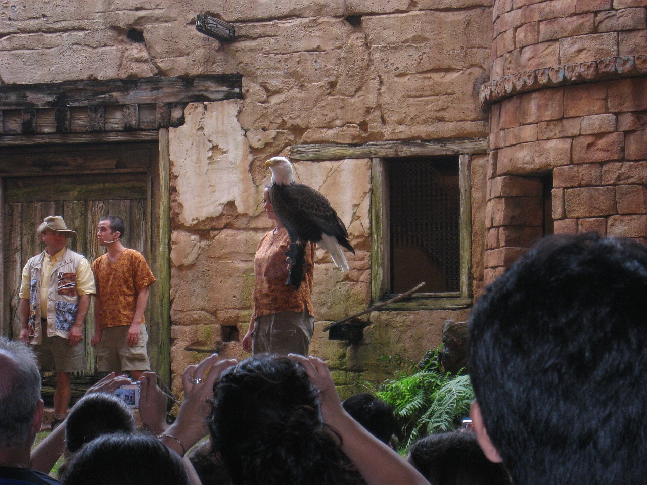 Vacation 2007-12 - Disney Parks  0634.jpg - The 2007-08 vacation to Florida included Disney World. We visited some of the larger theme Resorts along with Animal Kingdom and Disney Hollywood Studios.